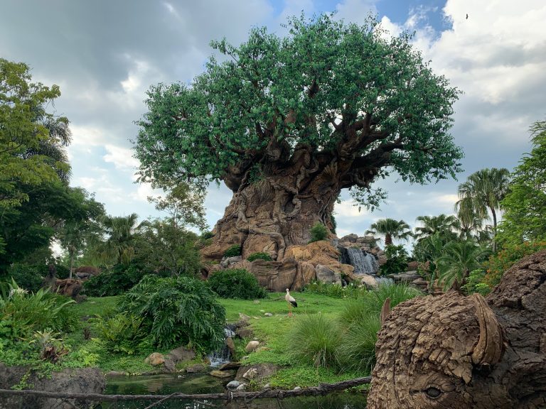 🎉 Florida Residents: Unlock a Special 3-Day, 3-Park Disney Ticket — Starting at Just $70/Day!
